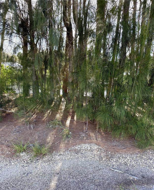 0 Jills Lane - Photo 1