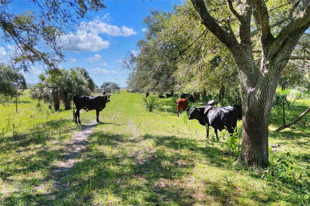 46891 Farabee Road - Photo 1