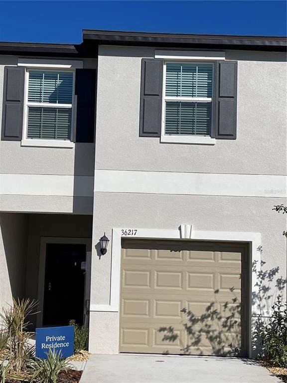 36217 Risa Michele Street - Photo 1