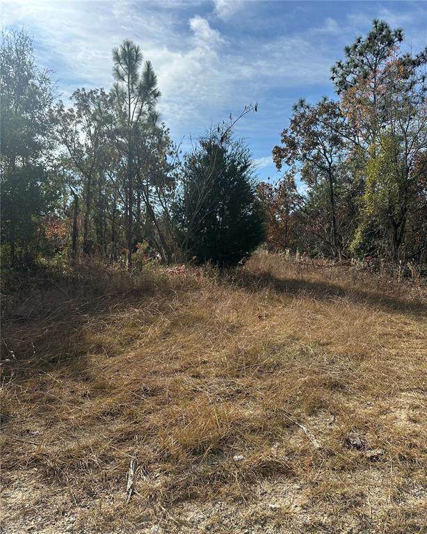 Lot 2 151ST TER - Photo 1