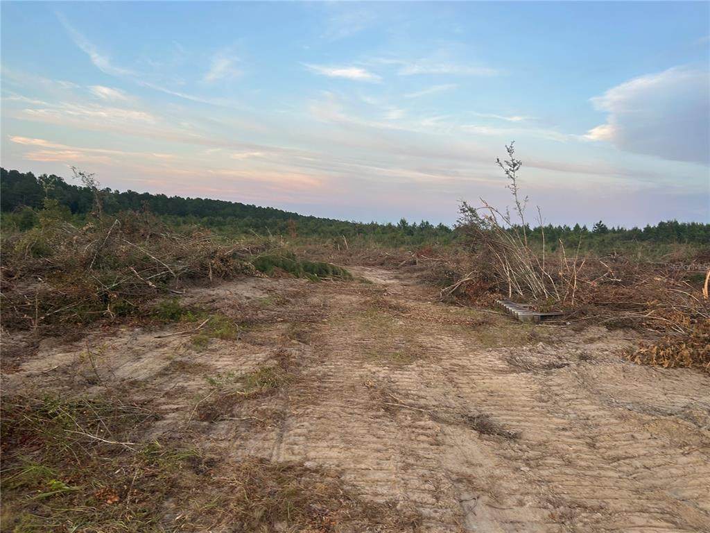 1520 Highway 181 - Photo 1