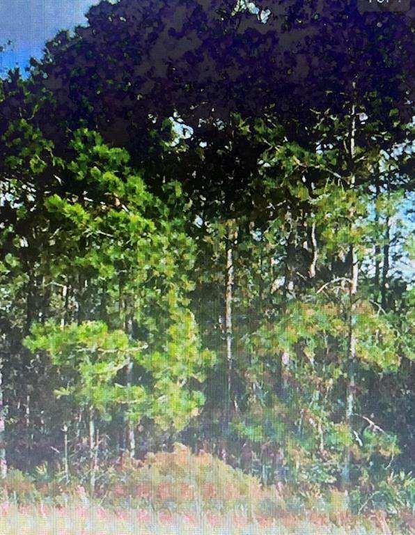  Sw 194 St, Archer,Fl 32618 - O4462-011-000 - Photo 1