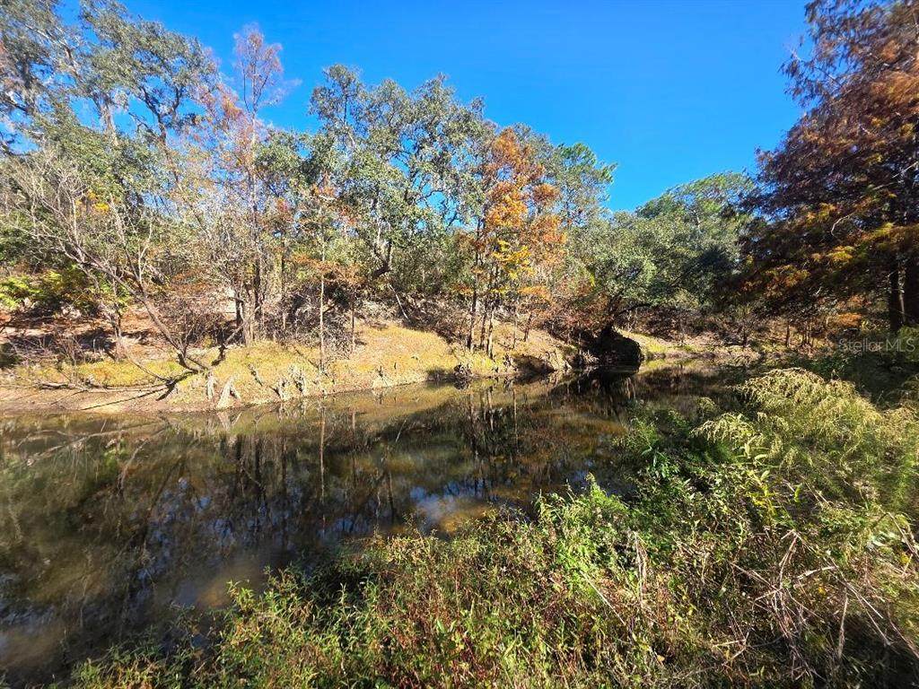 33039 Round Table Road - Photo 1