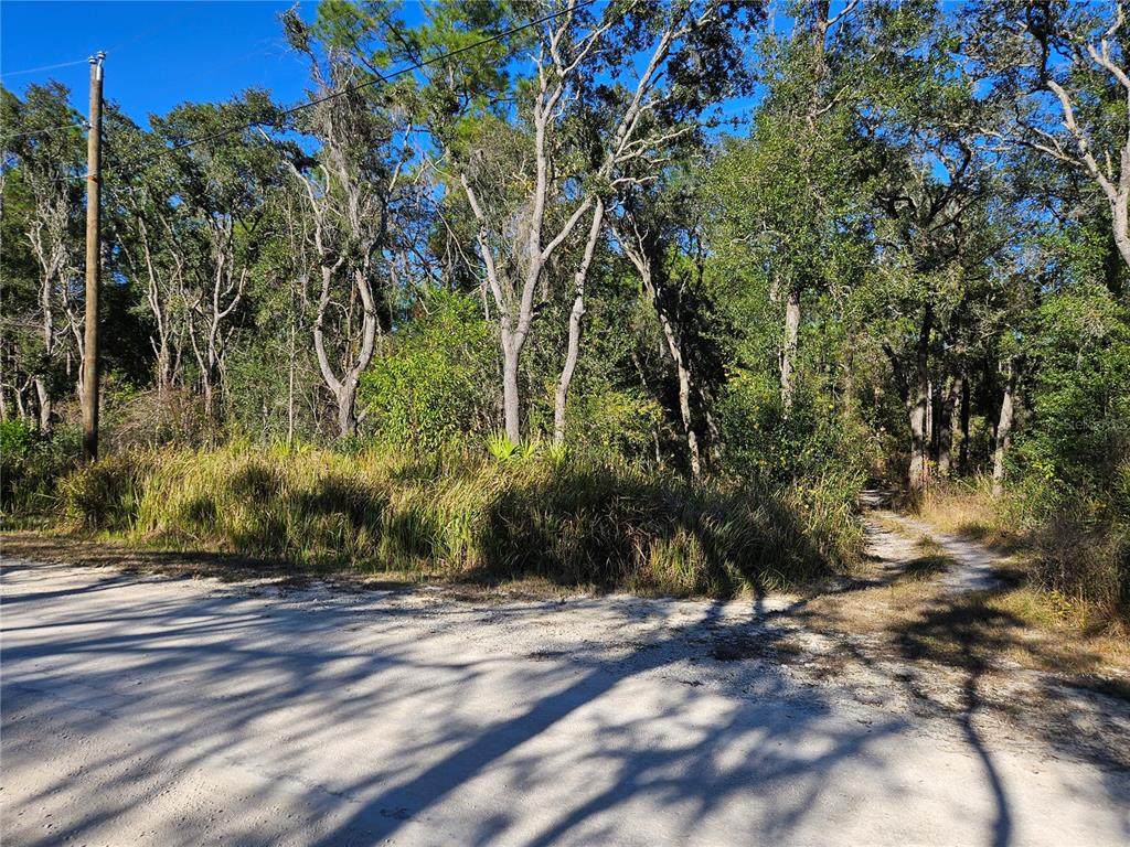  Berryhill Drive - Photo 1