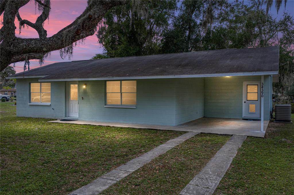 34390 Orchid Parkway - Photo 1