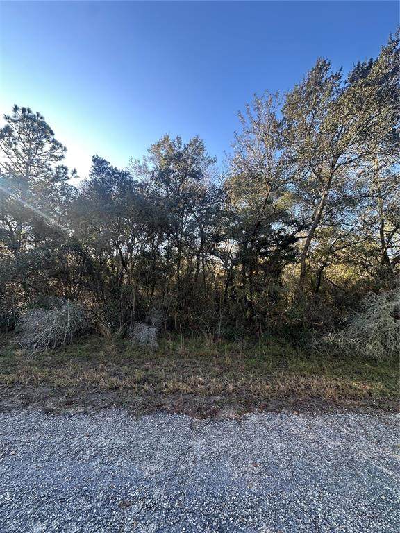 3908 Tropic Lane - Photo 1
