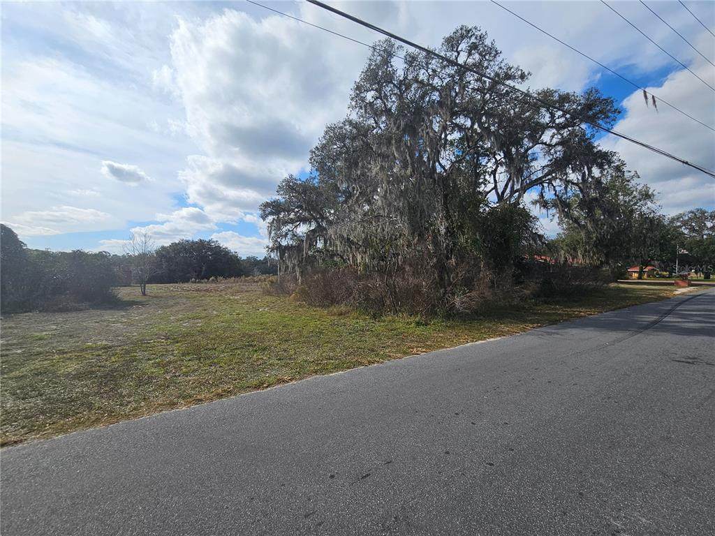 34794 Orchid Parkway - Photo 1