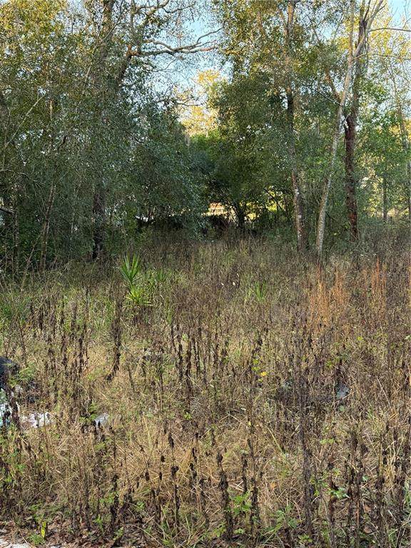 9411 Kissimmee Street - Photo 1
