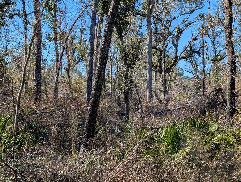  Fox Run Trail - Photo 1
