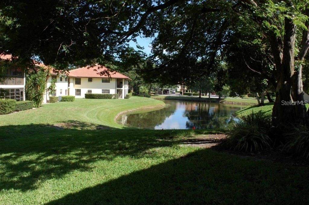 2006 Hammock Pine Boulevard - Photo 1