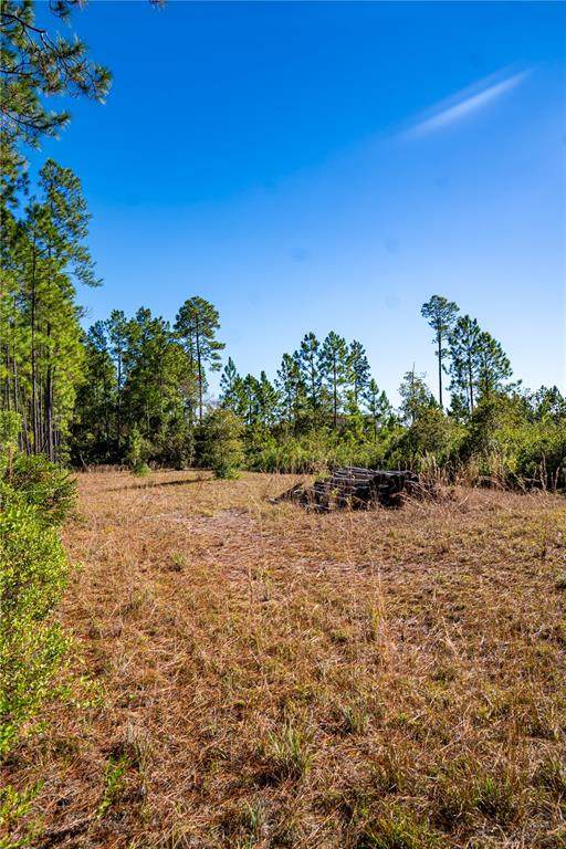 101 Thyme Drive - Photo 1