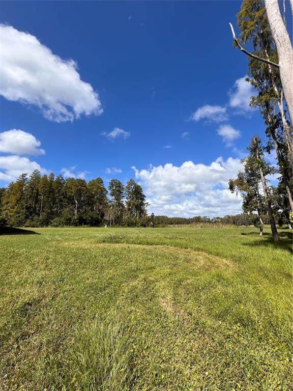 1029 Van Dyke Road - Photo 1