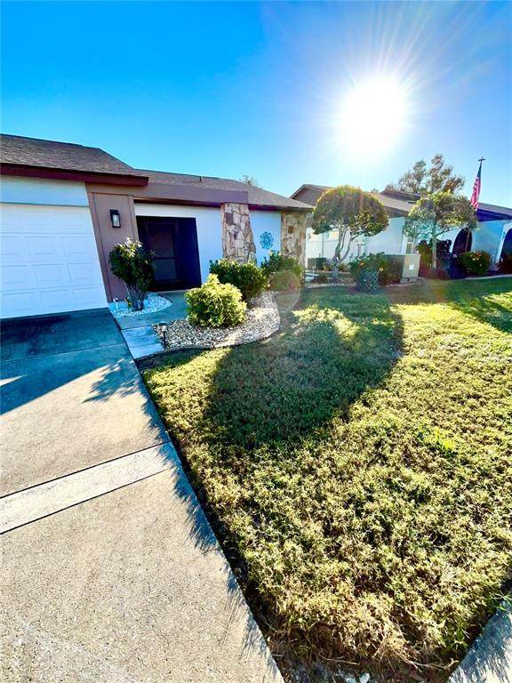 209 Persimmon Street - Photo 1