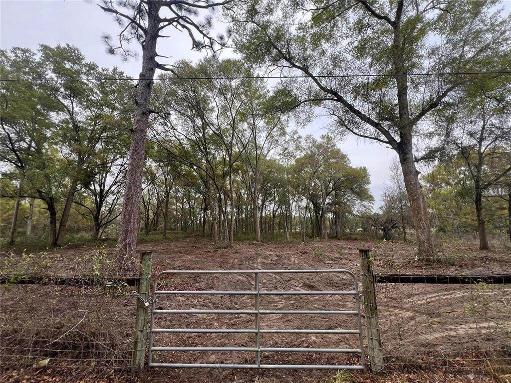 15574 Rockingham Lane - Photo 1