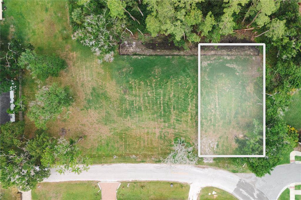 7301 Avonwood Street - Photo 1