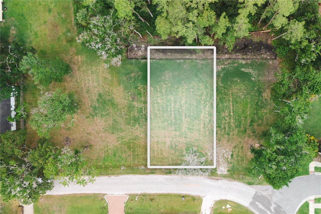 7303 Avonwood Street - Photo 1