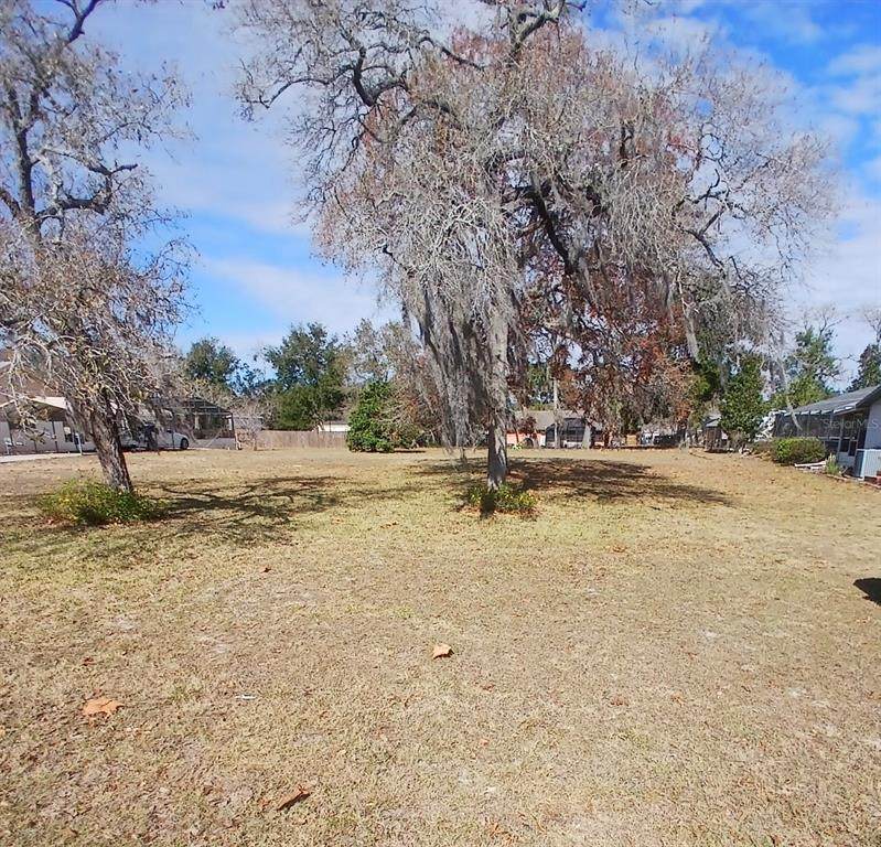  Gene Street - Photo 1