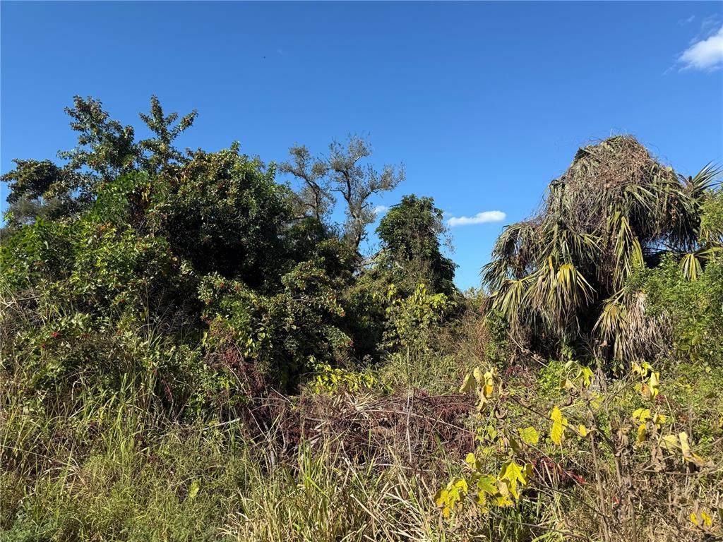 1810 38TH Place - Photo 1