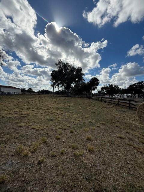  Horseshoe Hills Place - Photo 1