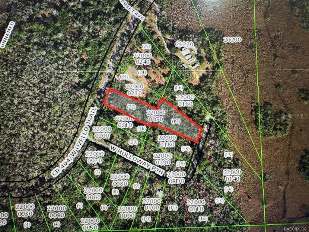 10043 Holloway Path - Photo 1