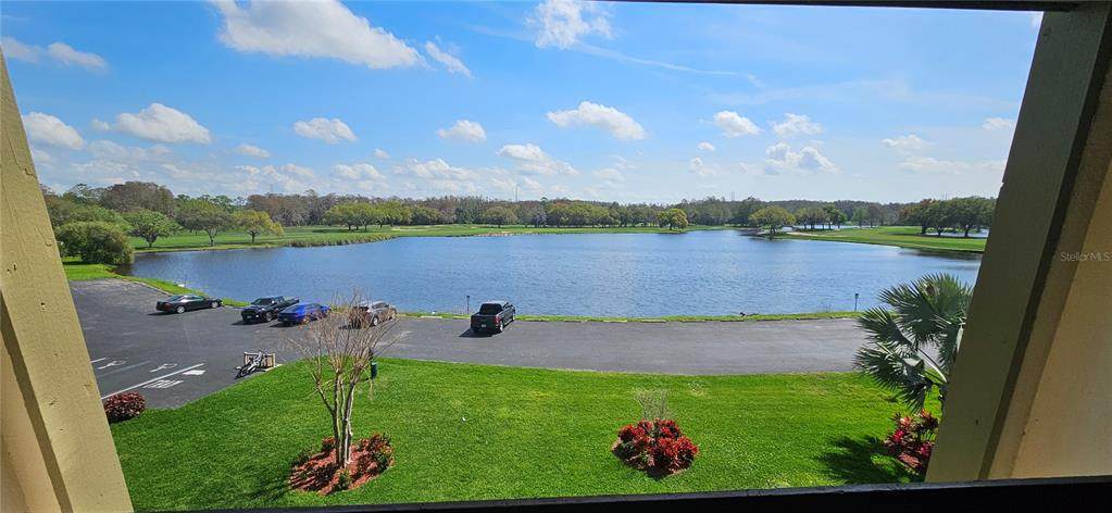 36750 Us Highway 19 - Photo 1