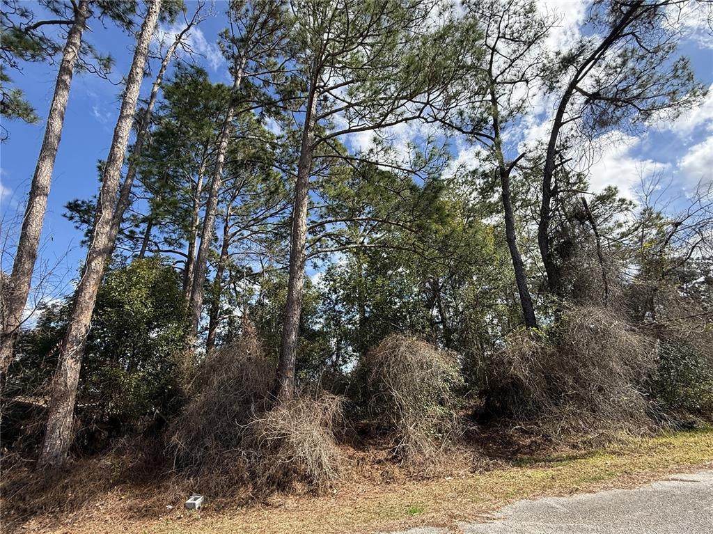 TBD Se 190Th Avenue - Photo 1