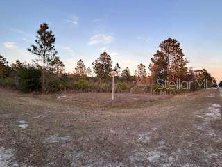  Oleander (Block 177 Lot 12) Drive - Photo 1
