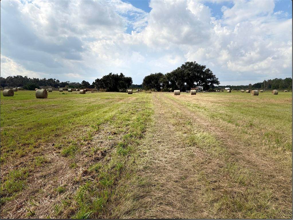 13029 County Road 39 - Photo 1