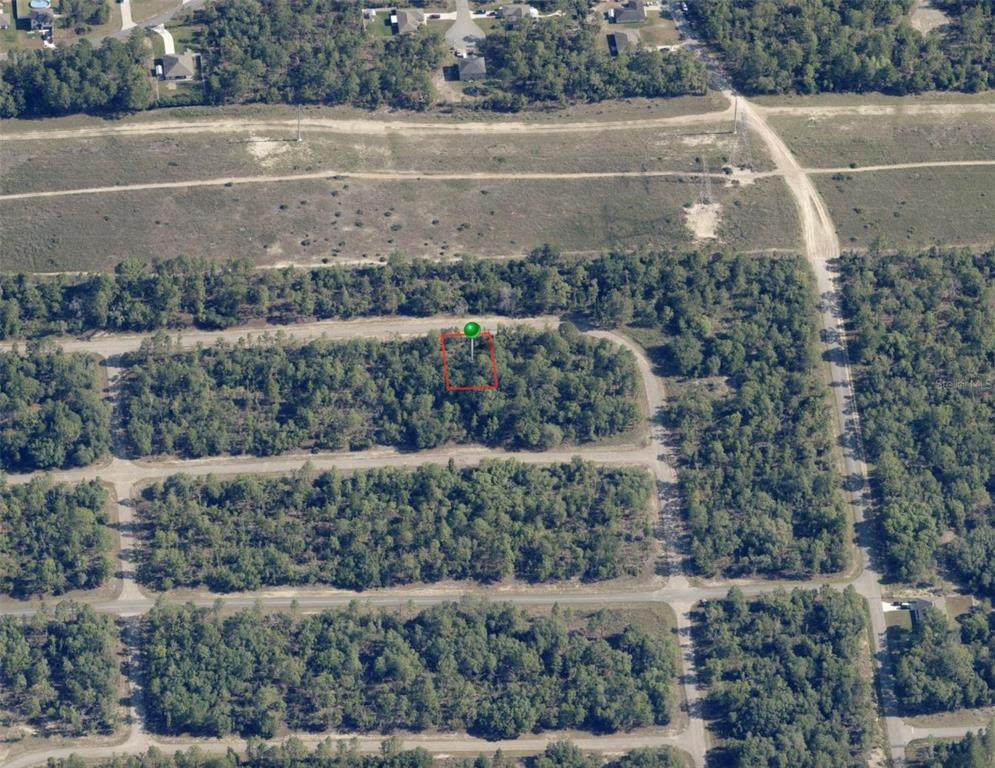 2104 Wilmington Loop - Photo 1