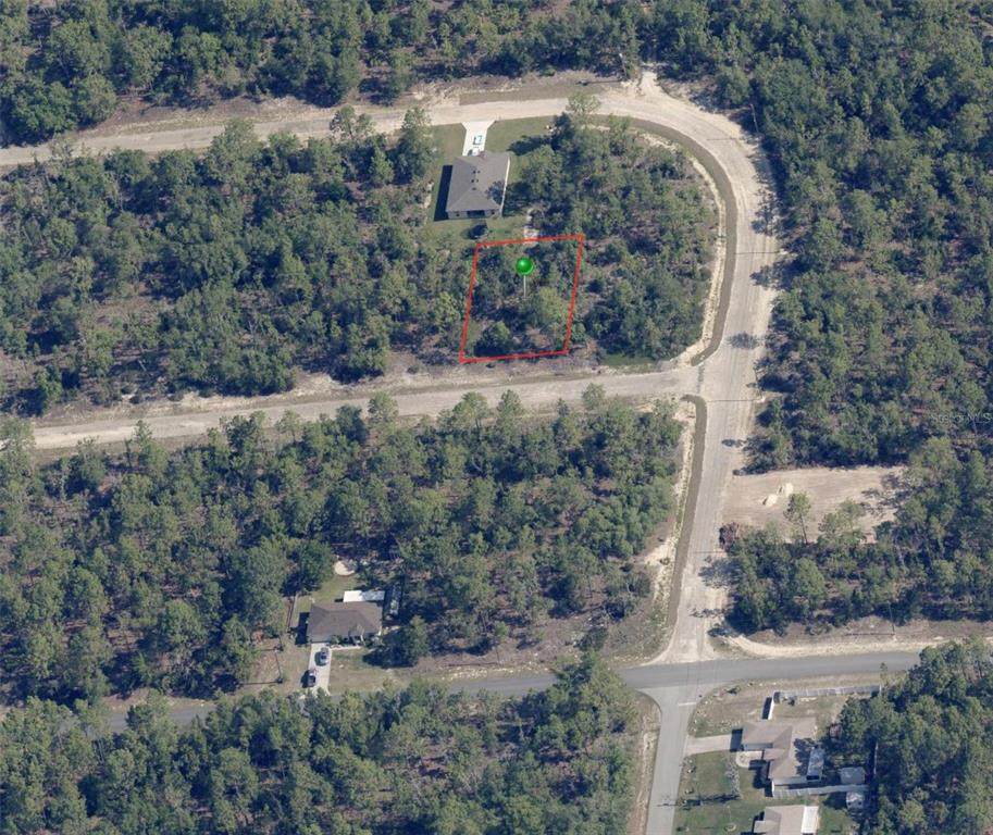 1067 Pendleton Street - Photo 1