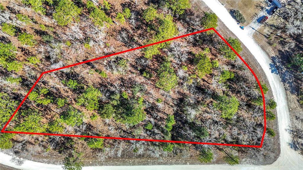 16070 Sheldrake Loop - Photo 1