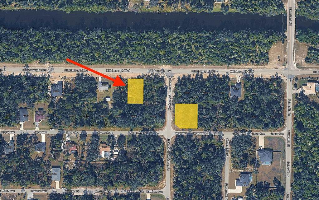 18439 Hillsborough Boulevard - Photo 1