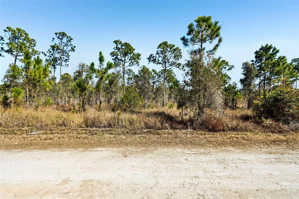13592 Carousel Drive - Photo 1