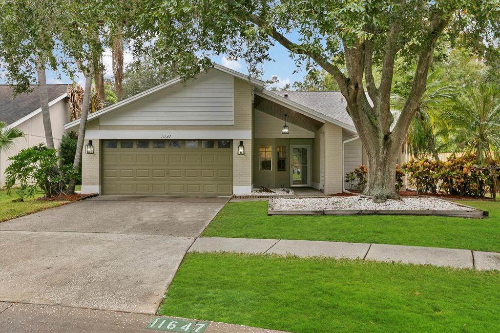 11647 Fox Creek Drive - Photo 1