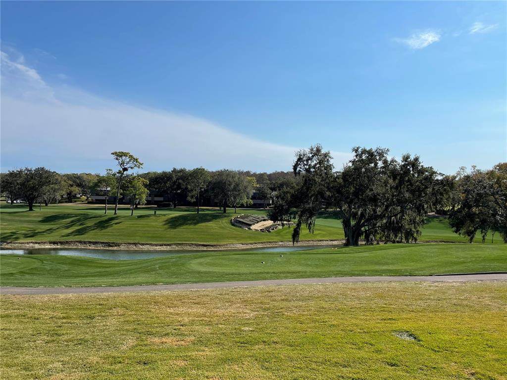 36750 Us Highway 19 - Photo 1