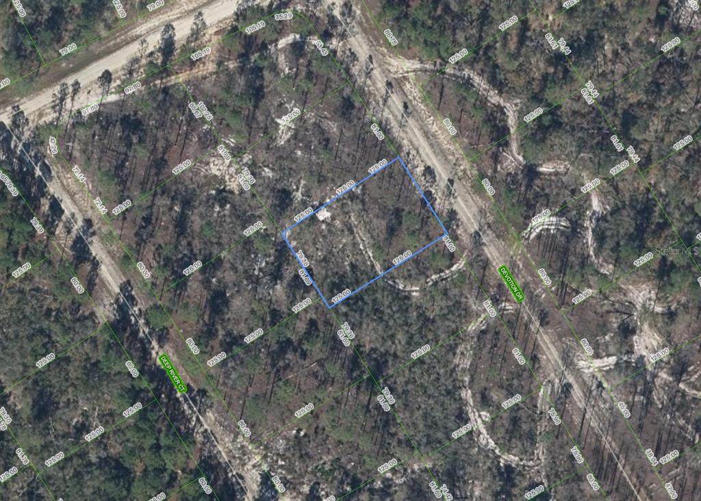 522 Devotion Drive - Photo 1