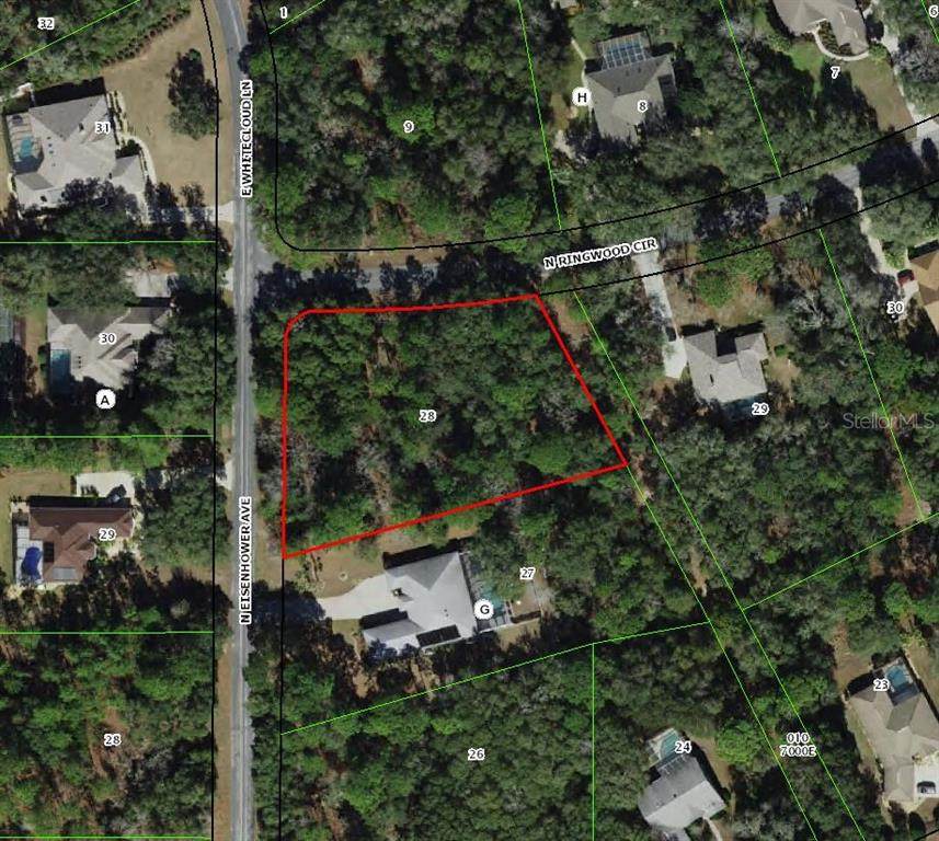 4001 Ringwood Circle - Photo 1