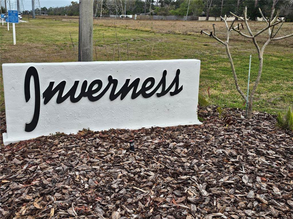 2593 Countryside Boulevard - Photo 1