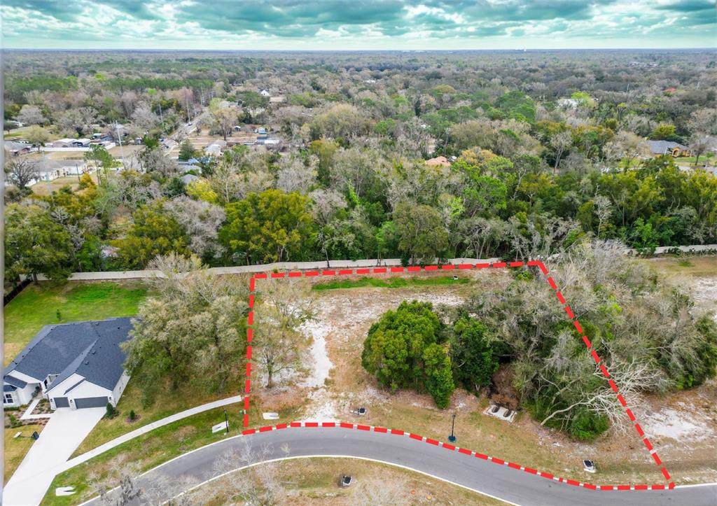 18469 Purple Creek Lane - Photo 1