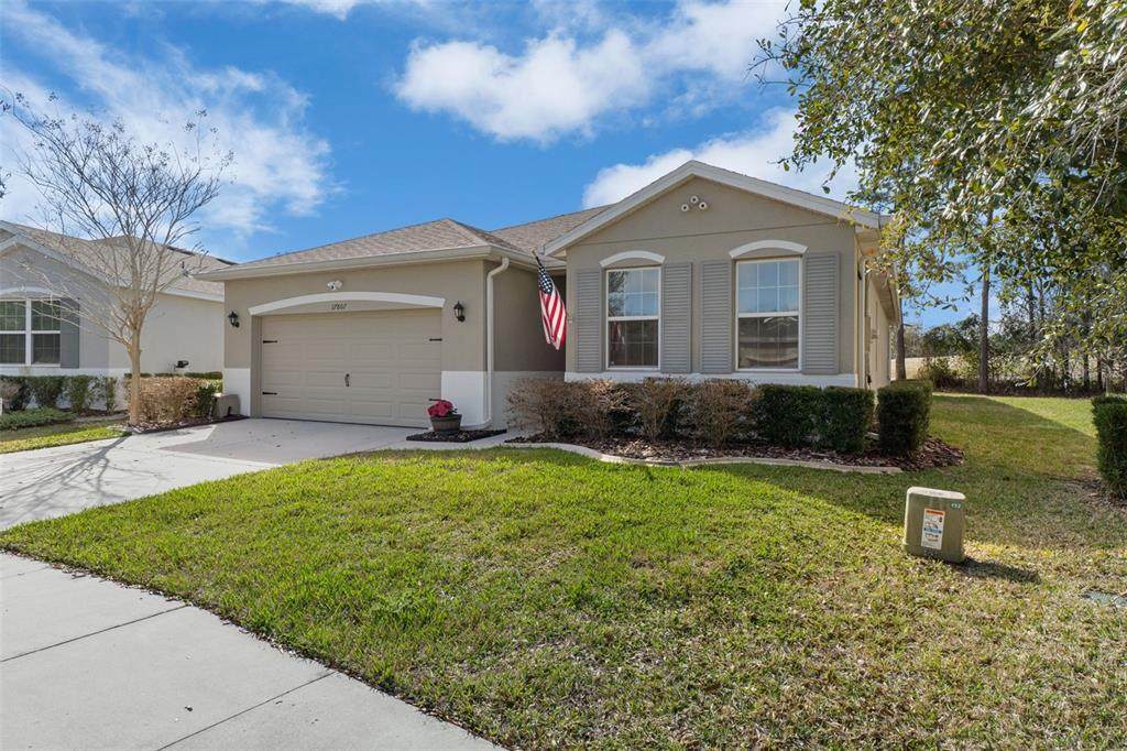 17807 Garsalaso Circle - Photo 1