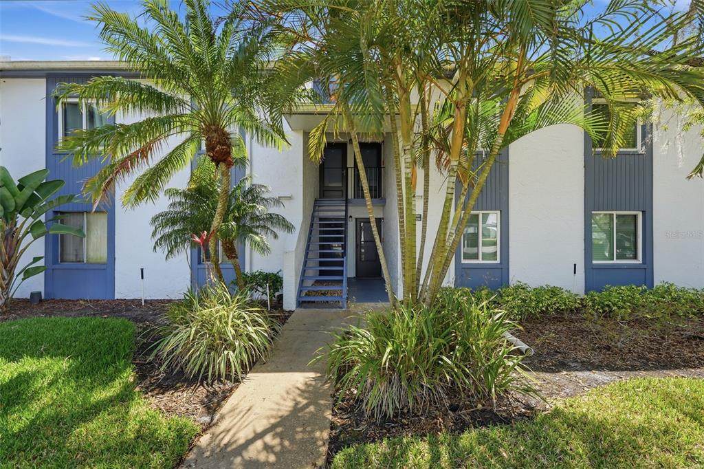 240 Cypress Lane - Photo 1