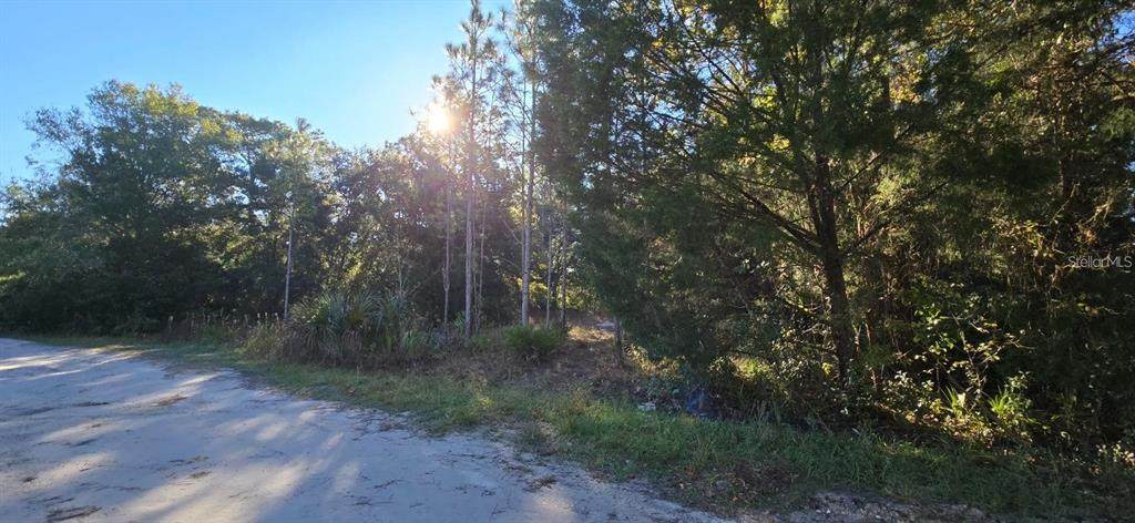 7784 Twin Canal Lane - Photo 1