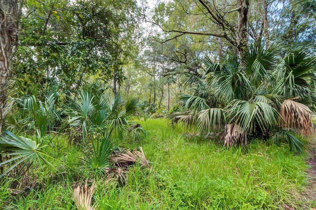 14902 Dead River Road - Photo 1