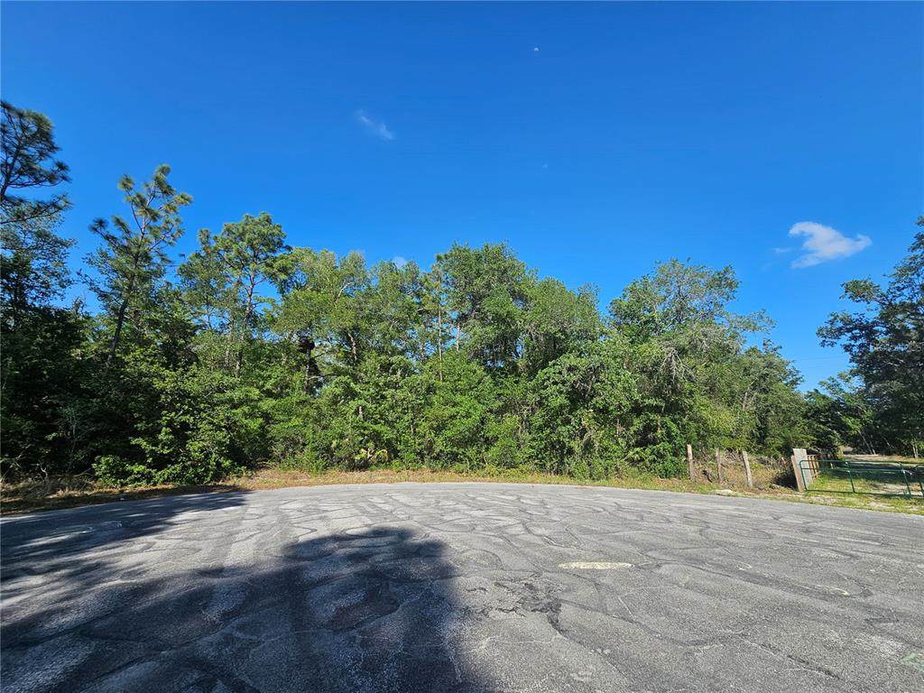 13431 Flagstaff Drive - Photo 1