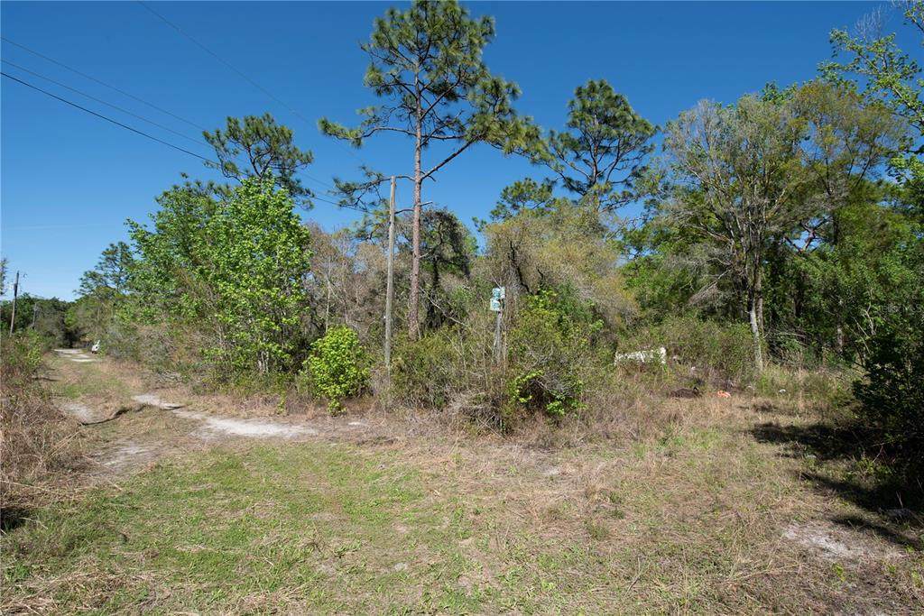 12934 Tanner Road - Photo 1