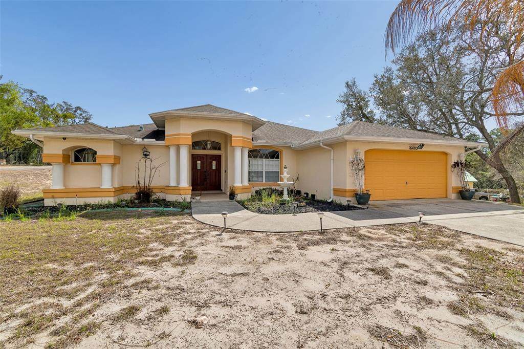 16402 Fringe Tree Drive - Photo 1