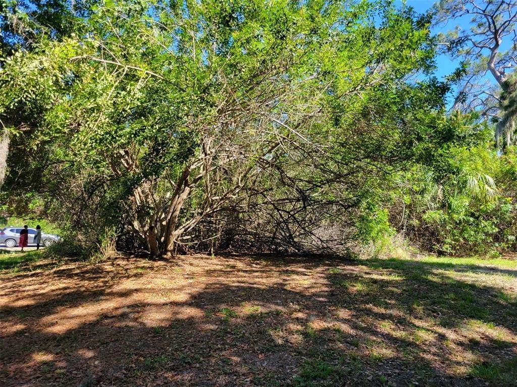 2721 Halladay Street - Photo 1
