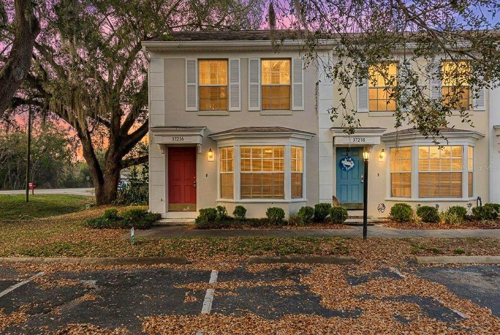 37236 Embassy Park Lane - Photo 1