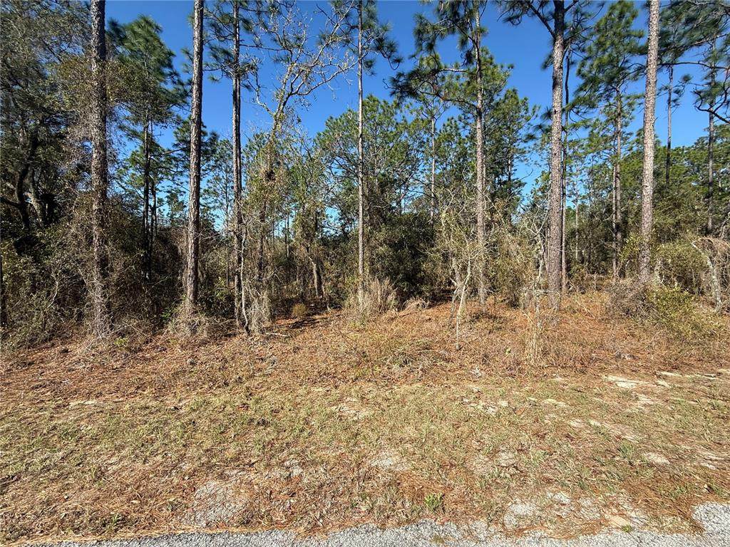 Lot 13 129 Court - Photo 1