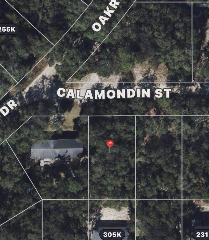  Calamondin St - Photo 1